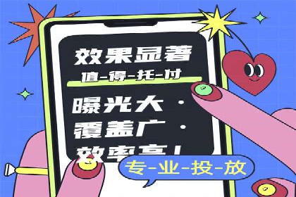 SEM广告投放的竞价策略与效果评估案例